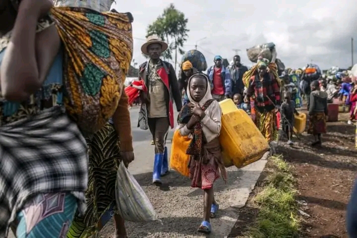 Walikale : plus de 4 300 ménages de retour à Manakindi vivent sans abri après 20 mois de déplacement