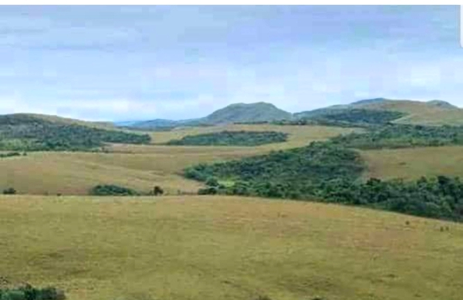 Sud-kivu : La société civile alerte sur la reprise des combats dans les hauts plateaux de Fizi et Mwenga